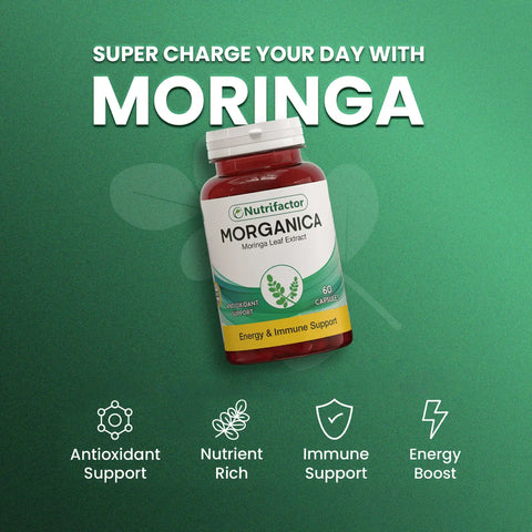 Morganica - Source of Antioxidants & Health Promoting Phytonutrients Nutrifactor UAE