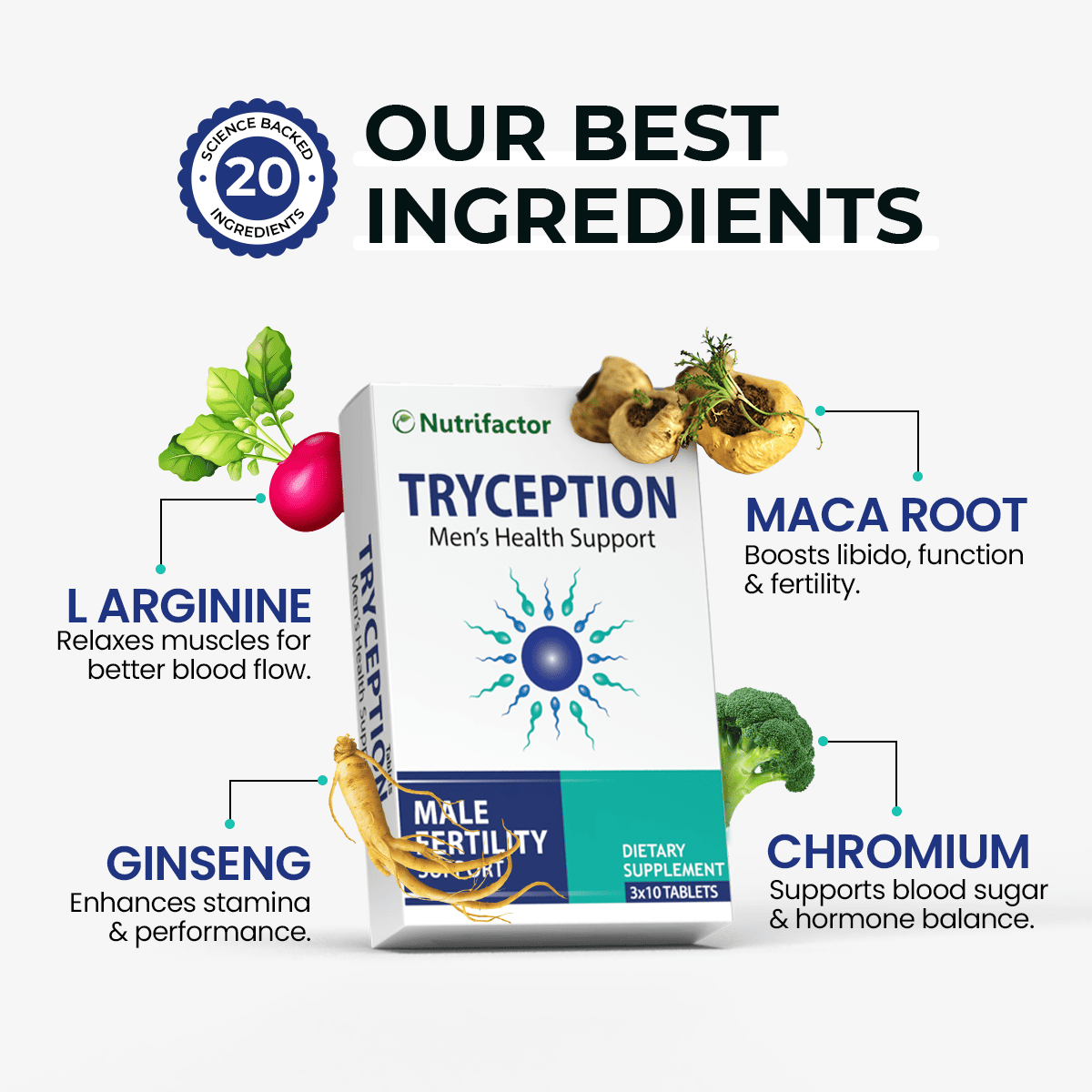 Tryception - Male Fertility Support for Sperm Health – Nutrifactor UAE