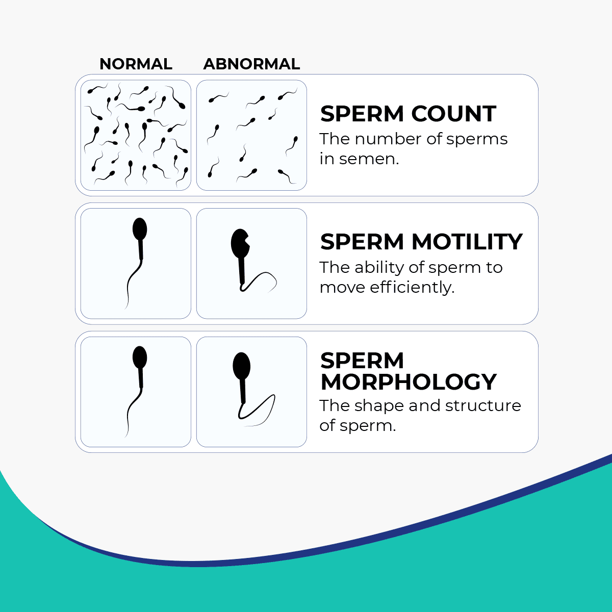 Tryception - Male Fertility Support for Sperm Health – Nutrifactor UAE